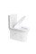 Унітаз-моноблок SY 1612 PAINT rim 71*39*77 білий